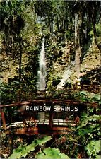 Dunnellon, FL Florida Rainbow Springs Waterfall Vintage Postcard G352 picture