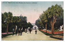 Vintage Postcard Palm Ave Sutro Heights San Francisco CA c1915 Adolph Sutro picture
