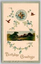 Birthday Greetings Antique Embellished Postcard UNP WOB Note DB Germany picture