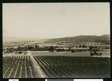 Panoramic view of Riverside orchards 1900 California Old Photo picture