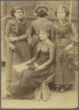 Lombardy Italy girls peasants w rakes Brianzolo costumes antique albumen photo picture