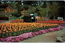 Royal Botanical Gardens Hamilton Ontario Canada Postcard Posted 1963 picture