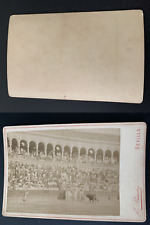 E.Beauchy, Spain, Seville, Corrida, Matador & Bulls Vintage Albumen Print, picture
