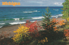 Vintage Postcard Michigan Shoreline in Autumn Photograph Unposted picture