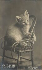 Rotograph Cat RPPC B-795 Kitten in Tiny Twig Chair, Won't Someone Play With Me? picture