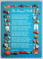 Postcard The Story Of Shells 1956 picture