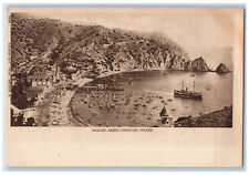 c1905 Steamship Avalon Santa Catalina Island California CA M Rieder Postcard picture