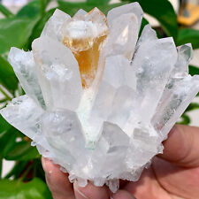 269G New Find white+yellowPhantom Quartz Crystal Cluster MineralSpecimenHealing picture