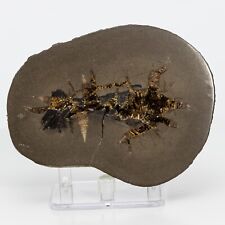 Unique & Rare Septarian Barite Geode from France Baryte Stone 115mm 794g H0853 picture