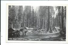 Post Card Postcard Sequoia National Park California Cal Ca Giant Forest Village picture