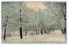 1919 Winter Scene Snow Trees Road Street Grand Rapids Michigan Vintage Postcard picture
