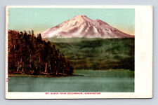 Scenic View Mt. Baker from Bellingham Washington WA UDB Postcard picture