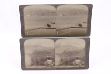Lot of 2 Stereoviews St Pierre Mont Pelee Martinque Before and After Eruption picture