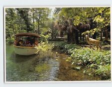 Postcard Jungle Cruise Silver Springs Florida USA picture