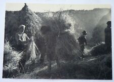 E02 / REPRO de CPA FORMAT CPSM LE BEATING DU BLE IN THE CANTAL IN 1949 / NEW picture