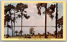 Postcard View Lake Dora from Castle Mt. Dora Florida *A2080 picture