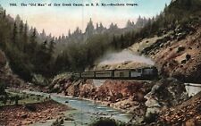 Southern OR-Oregon Old Man of Cow Creek Canon SF Railroad Train Passage Postcard picture