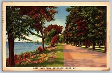 Maine ME - Greetings from Belgrade Lakes - Vintage Postcard - Posted picture