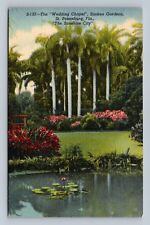 Postcard, St. Petersburg, Florida The 
