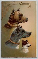 c 1910's 3 Three Dog Heads Profile Vintage Antique Embossed Postcard ASB 245 picture