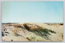 Postcard Sand Dunes Near Monahans Texas picture