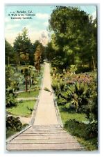 Postcard Berkeley, CA - A Walk in the California University Grounds 1909 S17 picture