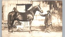 SHOWING OFF HORSE macomb il real photo postcard rppc illinois history ~pitbull picture