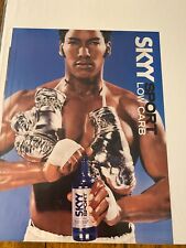 2004 Skyy Sport Low Carb Energy Drink Boxing Theme ad picture