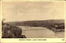 Sunken Forest ~ Lake Taneycomo ~ Missouri MO ~ linen postcard picture