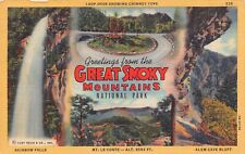 Great Smoky Mtn Nat'l Park Tenn TN Greetings From Larger Not Large Letter PC picture
