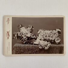 Antique Cabinet Card Photograph Beautiful Flower Memorial Emma Attica NY picture