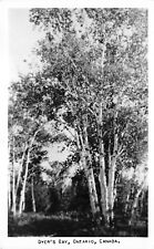 Dyer's Bay Onatario Canada 1940s RPPC Real Photo Postcard Trees picture