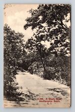 Westhampton Beach Long Island NY-New York, A Shady Road, Vintage Postcard picture