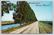 Postcard Greetings From Sunny Florida picture
