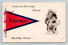 Postcard Pennant Dutch Wordplay Humor Tigerton Wisconsin, Antique N6 picture
