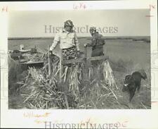 1987 Press Photo Dr. Austin Phillips, Dan Mouney build duck blind in Louisiana picture