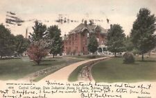 Vintage Postcard 1906 Central Cottage State Industrial Home For Girls Adrian MI picture