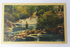 Vintage Rural Fishing Theme C.1940s Nice Picture Postcard picture
