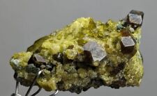 Natural small thumbnail sized aesthetic and colorful specimen of andradite  picture
