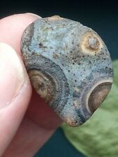 27mm Natural Gobi Agate eye agate/stone cute Suiseki-viewing collection china picture