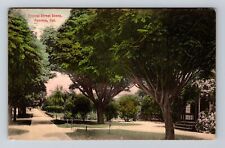Pomona CA-California, Typical Street Scene, c1907 Vintage Souvenir Postcard picture