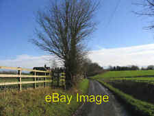 Photo 6x4 Country lane, Roxwell Pepper's Green Little more than a track,  c2006 picture
