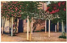 Postcard CA San Gabriel Mission Oldest Rose Tree California Vintage PC J3381 picture