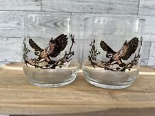 Vintage Sunoco North American Wildlife Glasses Spotted Owl picture