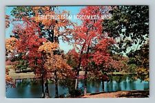 Roscommon MI-Michigan, Greetings, Scenic Autumn View, c1965 Vintage Postcard picture