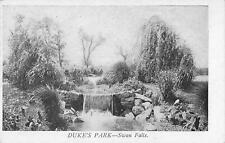 Vintage Postcard Duke's Park Swan Falls Somerville New Jersey picture
