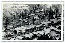 c1960's Deadwood Scene Before The Great Fire Sept. 26 1879 Deadwood SD Postcard picture