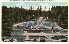 Postcard OR Columbia Highway Fish Hatcheries at Bonneville Vintage PC a4594 picture