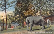 GA~GEORGIA~ATLANTA~GRANT PARK~AT THE ANIMAL PENS~ELEPHANT~ZOO~C.1910 picture