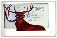 c1905s BPOE Deer Antlers Ribbon Flower View Denver Colorado CO Unposted Postcard picture